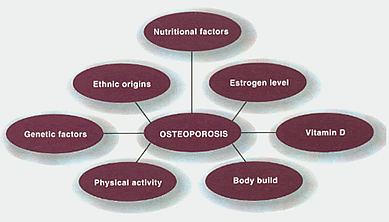 osteofactors